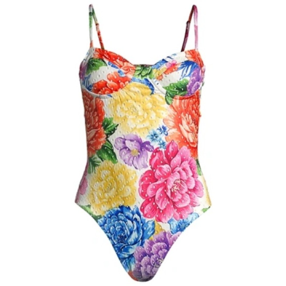 FARM Rio Rainbow Chita One Piece Swimsuit